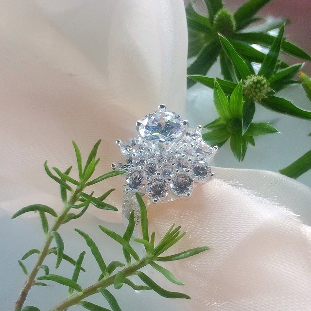 Bạc PTSJ_Vy's Bắp | Fashion, Cửa hàng trực tuyến | BigBuy360 - bigbuy360.vn