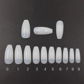 500 Móng úp form chuẩn size Hàn Quốc - Nail Store