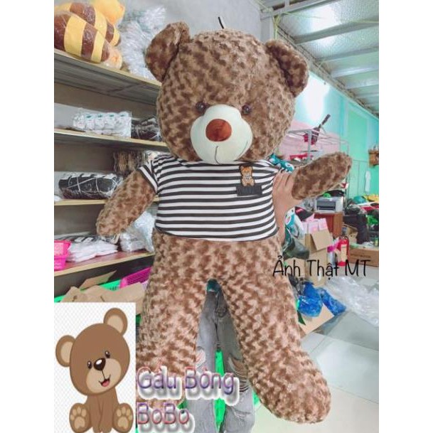 [BOBO] Gấu Teddy Cao Cấp 💖 FREESHIP 💖 Gấu Bông Teddy Khổ Vải 1M,1M1,1M3,1M45,1M65 Hàng VNXK Chất Đẹp
