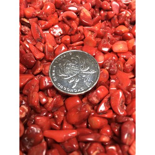 50g Đá San Hô Đỏ Tự Nhiên