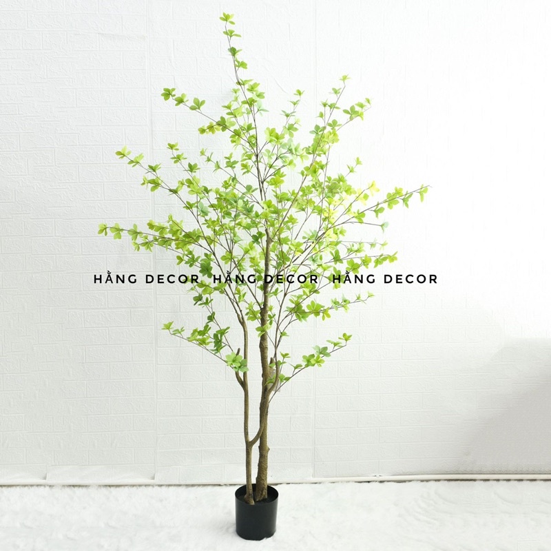 Cây thạch nam giả trang trí 1m8 Hằng decor