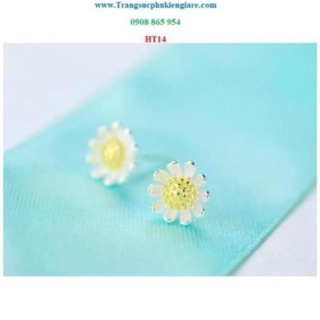 Np hoa tai bạc 925 hình hoa cúc xinh xắn ngntd nntb