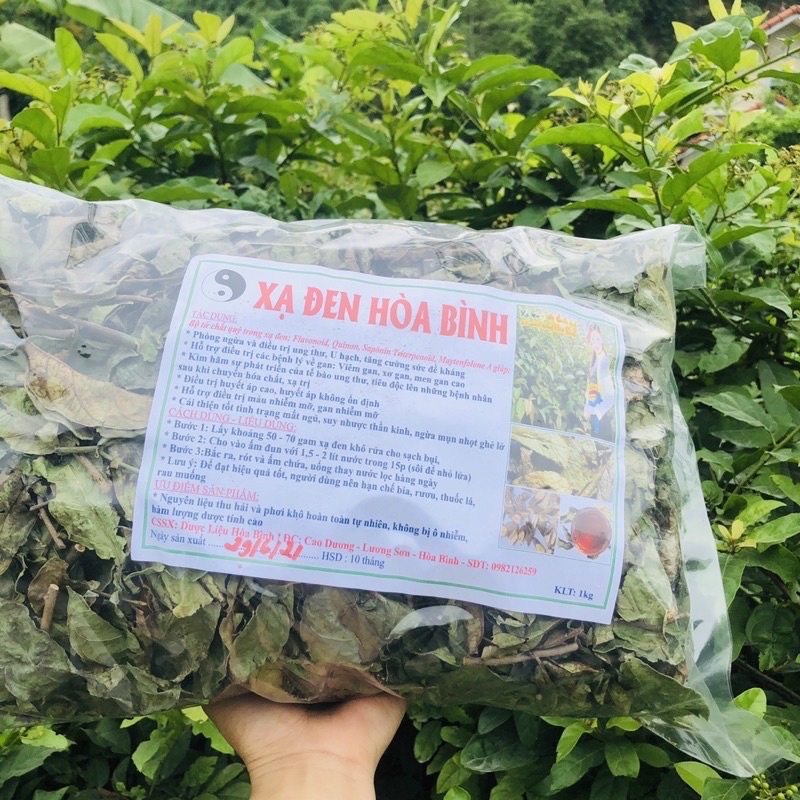 1kg Xạ đen Hoà Bình (cả thân và lá)