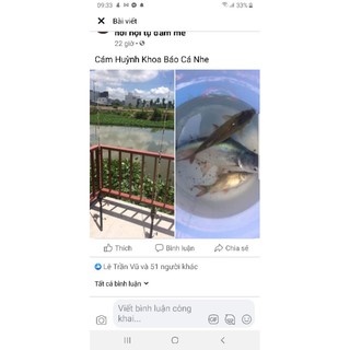 Mồi câu cá Huỳnh Khoa