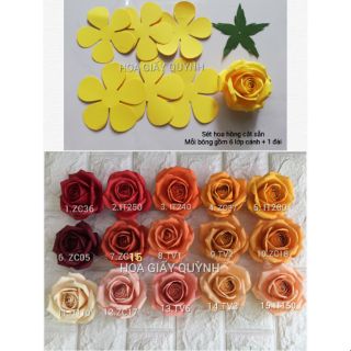 Sét 10 hoa hồng cắt sẵn tông đỏ - cam