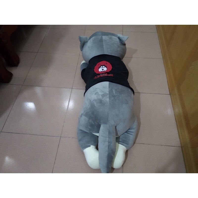 Gấu Bông Chó Husky, Mèo Husky Siêu Yêu