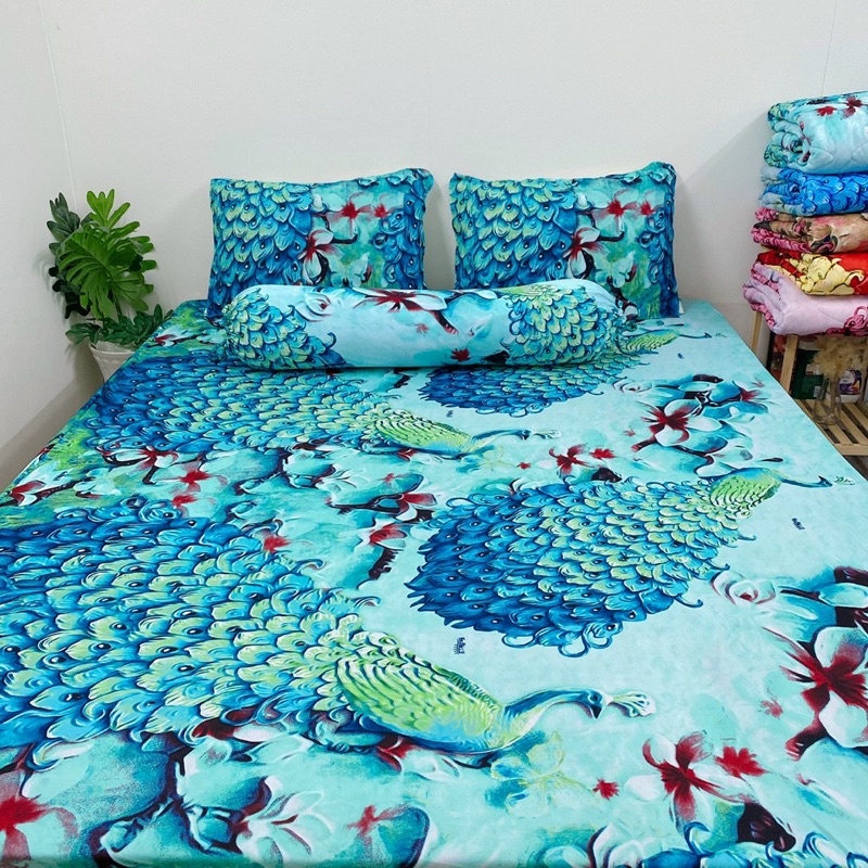 Bộ ga và vỏ gối thun Hàn mẫu con công