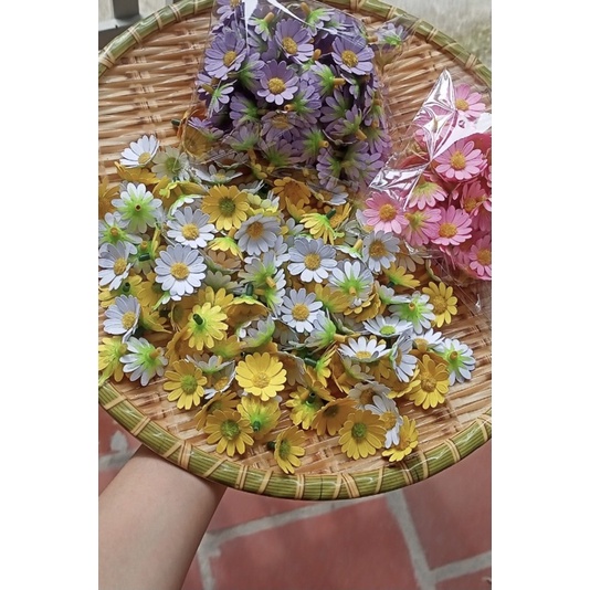 🌺🌺Đầu bông hoa cúc nhí (30k/50 bông)