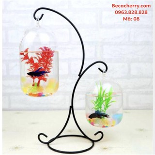 Bể Cá Mini Chữ X - 08 ( Tặng Kèm Phụ Kiện Trang Trí )