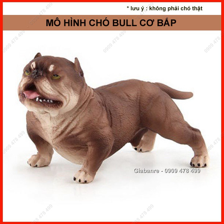 Mô Hình Chó Bull Mặt Xệ Cơ Bắp Giang Hồ - 4680