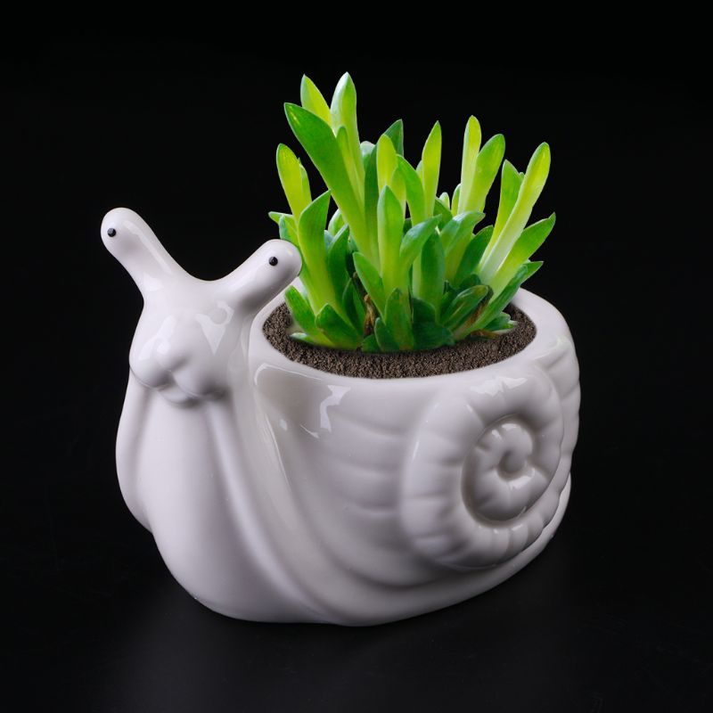 Chậu Hoa Bằng Sứ Hình Ốc Sên Dùng Trang Trí DIY