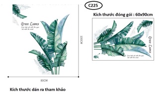 Decal chùm lá vẽ phong cách mới