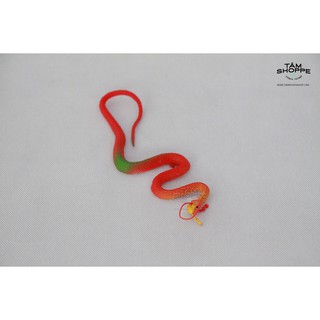 Con rắn giả số 16 TTTM