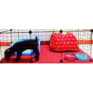 Chuồng chó mèo lắp ghép chỉ với 23k/1 miếng ghép
