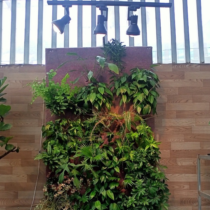 Đèn Trồng Cây Spotlight Thân Dài LGL 20W, Ánh Sáng Nắng Sớm Kích Thích Ra Ở Chồi Kiểng Lá & Ra Mầm Ở Cây Hoa, Sen Đá