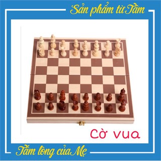 Bộ Cờ Vua Có Bàn Cờ Bằng Gỗ Cao Cấp – CCK