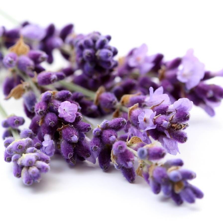 Túi Chườm Mắt Thảo Dược LAVENDER - Nam Nguyên Dược