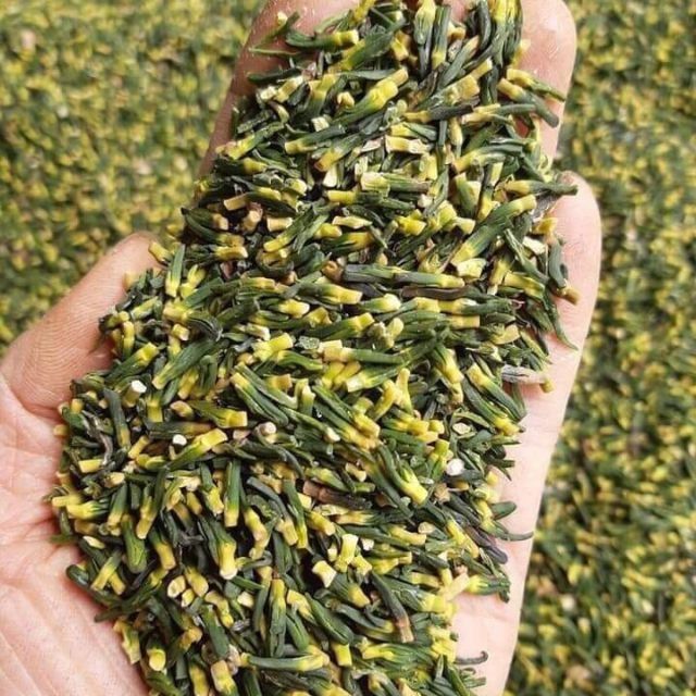 500g Tâm sen sấy khô giúp ngủ ngon