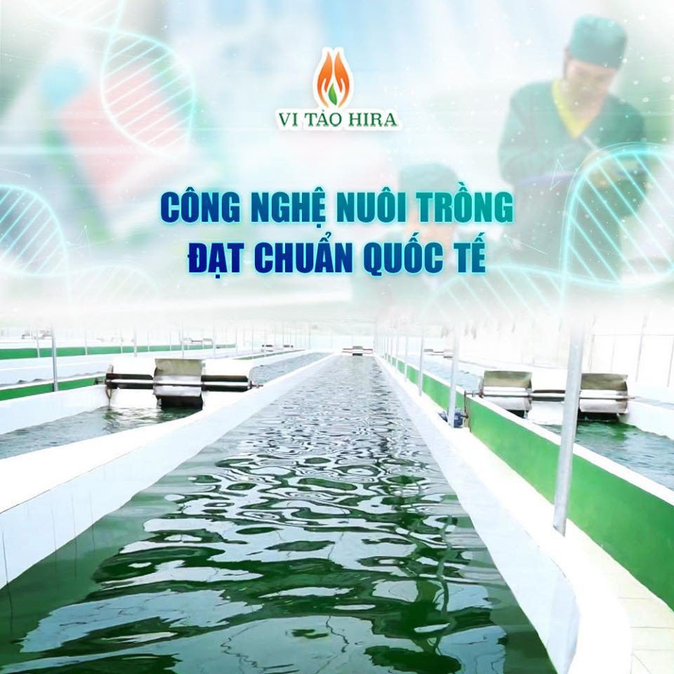 Tảo xoắn Hira Spirulina nguyên chất 100% HÀNG CHÍNH HÃNG