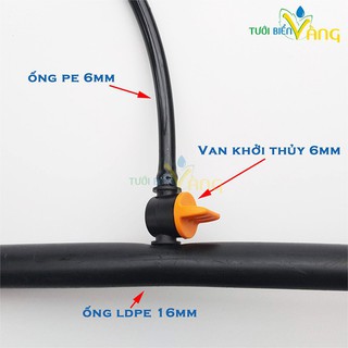 Combo 5 van khởi thủy 6mm