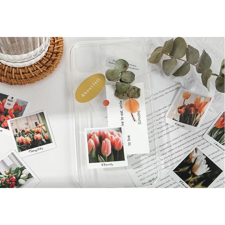 Bộ 40 Sticker Hisome E105