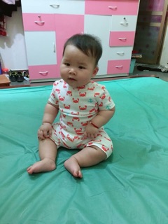Combo bộ carter bé gái