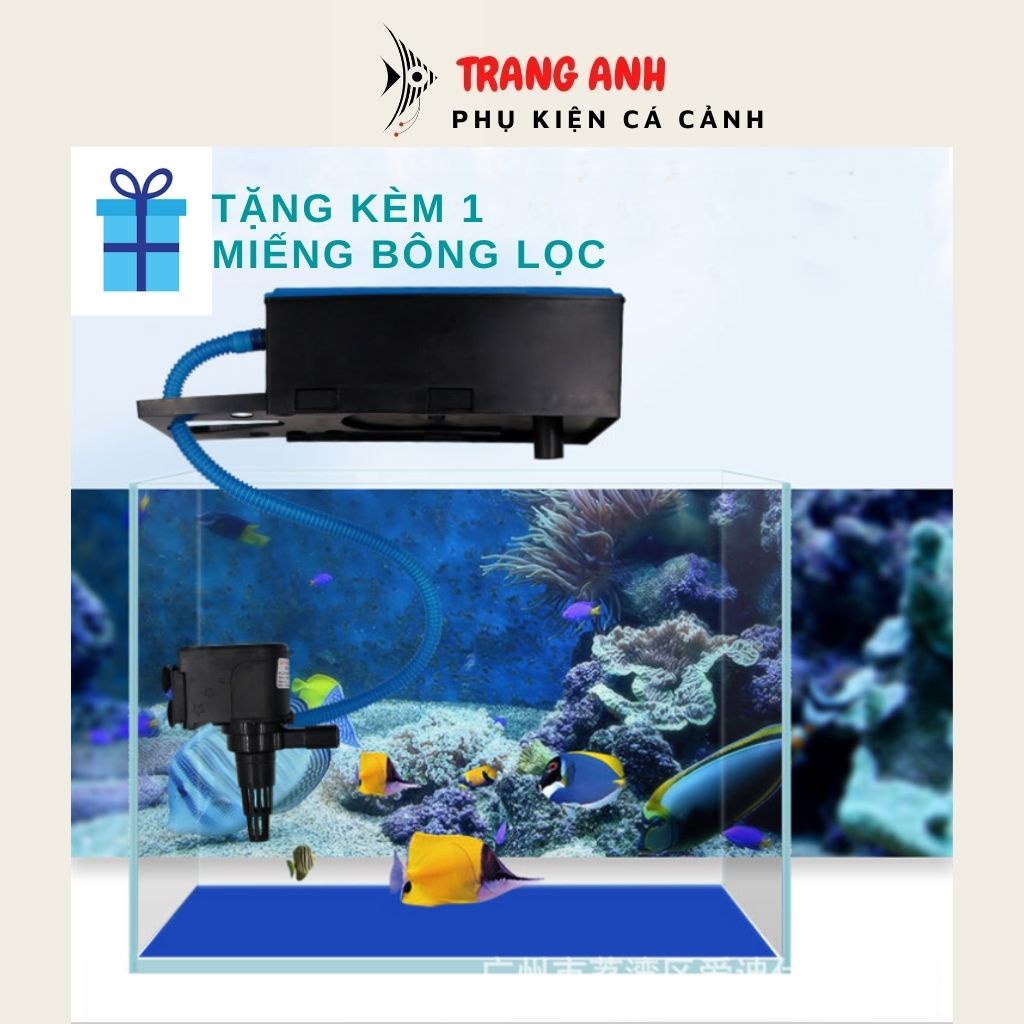 Máy bơm lọc nước bể cá RS-680C tiết kiệm điện, lọc máng cho bể 60-80cm kết hợp sủi oxy (hàng chính hãng)
