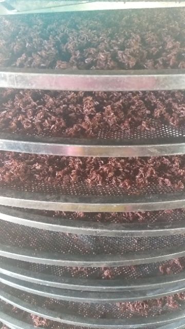 [Mã 267FMCGSALE giảm 8% đơn 500K] 500g gạo lứt rong biển | BigBuy360 - bigbuy360.vn