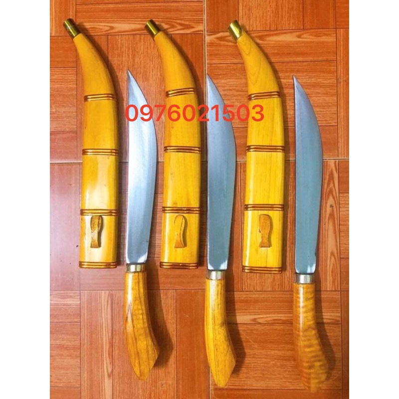 Mèo phong thuỷ đi rừng