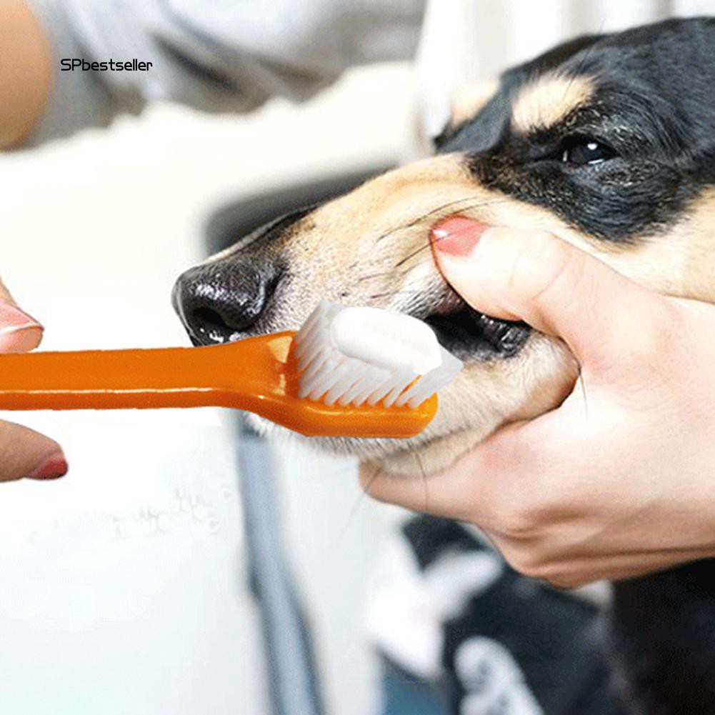 Bàn chải đánh răng kèm tuýp kem vệ sinh răng cho thú cưng