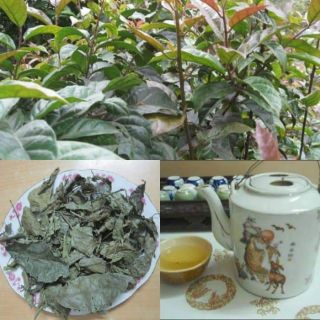 500G XẠ ĐEN HÒA BÌNH HÀNG CHUẨN