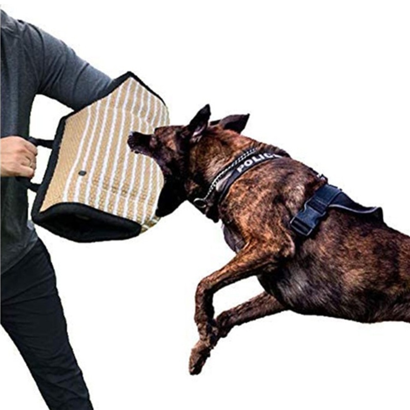 Găng tay đồ chơi ngậm cắn huấn luyện chó cưng