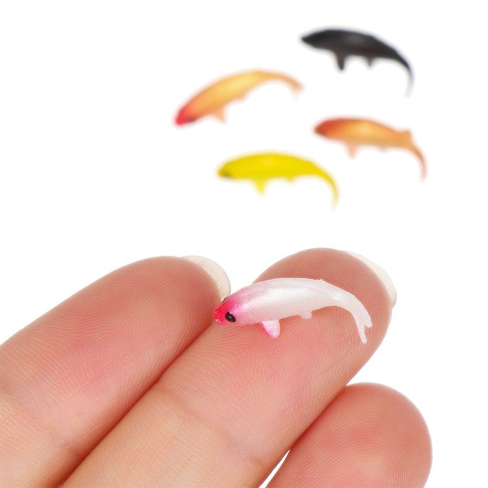 RAINBOW Set 5 Mô Hình Cá Vàng / Cá Vàng / Vuông Trang Trí Nhà Búp Bê