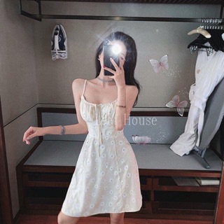 ĐẦM HOA CÚC RÃ NGỰC