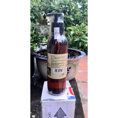 Tinh dầu lá Trầu không - chai 300ml