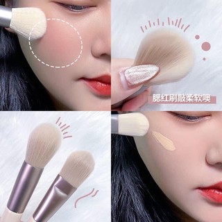 set cọ 8 cây