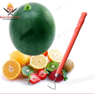 MÓC CẠO VỎ DƯA HẤU - ĐỒ TỈA DƯA HOA DƯA HẤU-DAO TỈA DƯA HẤU