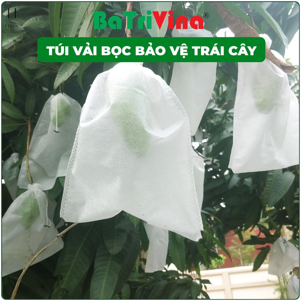 Combo Túi Vải không dệt bọc trái cây - Bảo vệ trái cây, túi vải có nhiều kích thước Size phù hợp cho nhiều loại quả