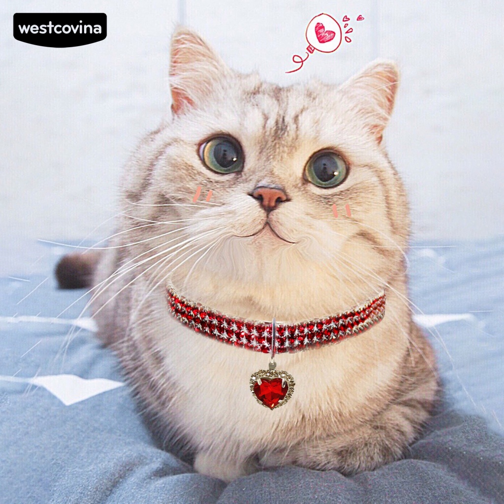 Vòng Cổ Mặt Hình Trái Tim Tròn Chống Gỉ Làm Phụ Kiện Chụp Ảnh Cho Mèo Cưng