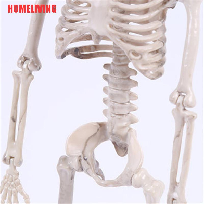 Bộ Xương Người Kinh Dị Trang Trí Halloween