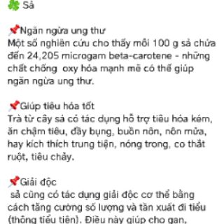 TRÀ LÁ HOA ĐU ĐỦ HÀ GIANG