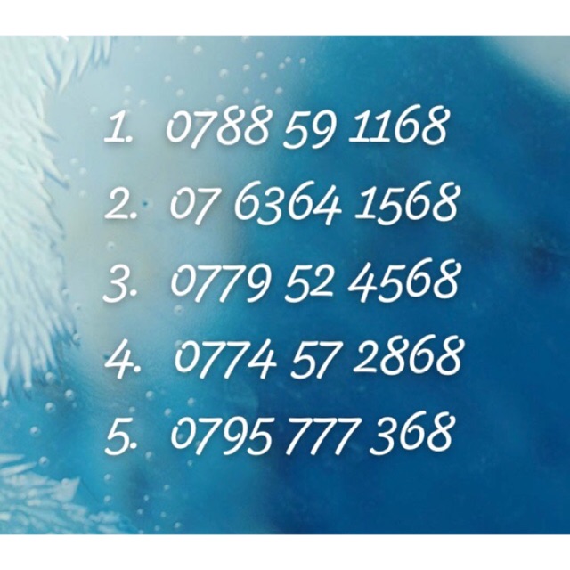 Sim số đẹp Mobifone (Lộc phát)