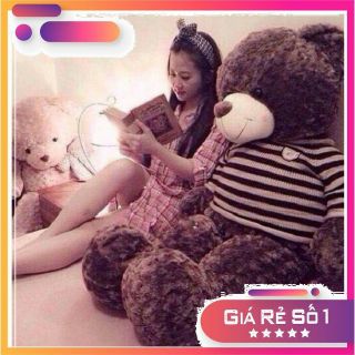 Gấu teddy m3