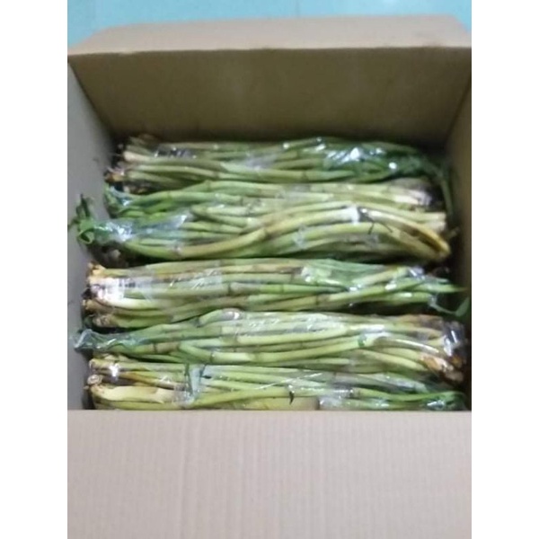 Ngó khoai  ngọt, không ngứa