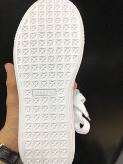 (ẢNH THẬT CHI TIẾT) PUMA MŨI BẠC
