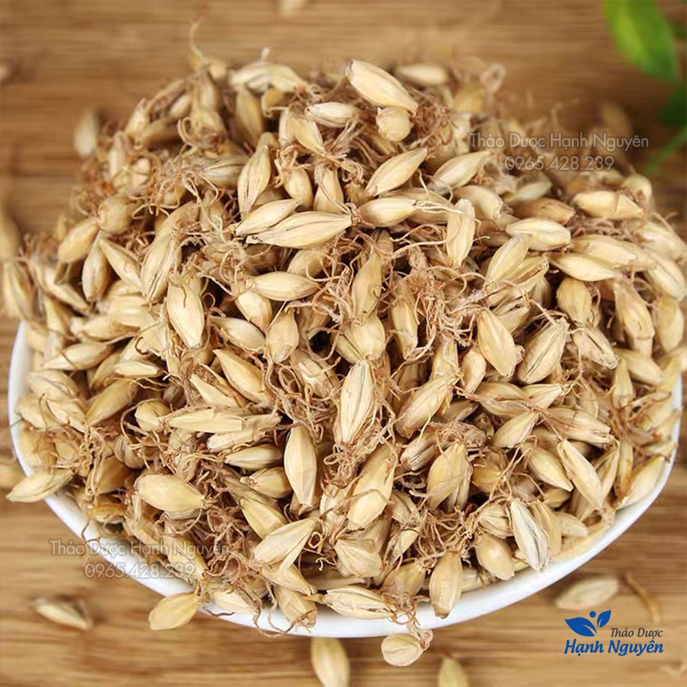 Mạch nha 100gr (Lúa Mạch)