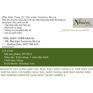 [Hình thật] GÀ CON - Phụ kiện Terrarium ĐL