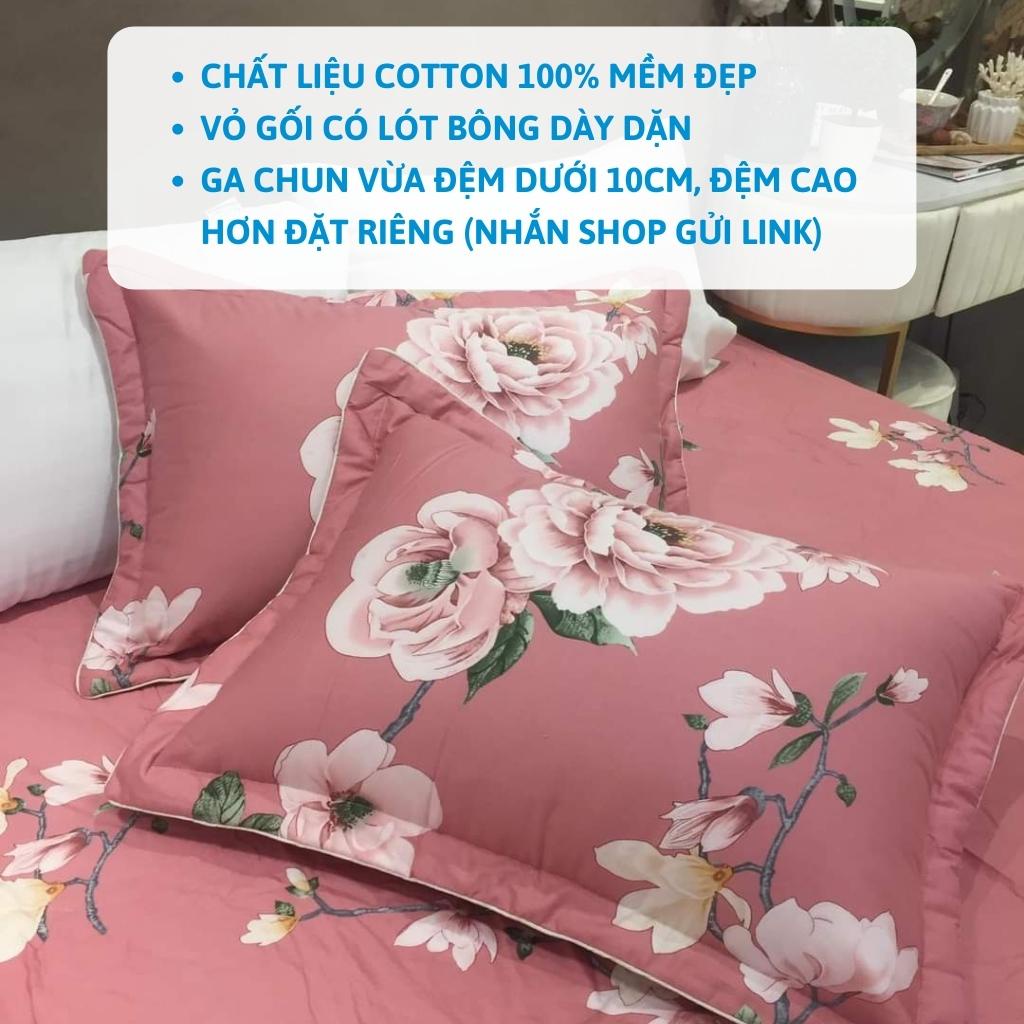 Ga chun bọc đệm cotton 100% Dream bedding, drap cotton chun giấu đủ size nệm | BigBuy360 - bigbuy360.vn