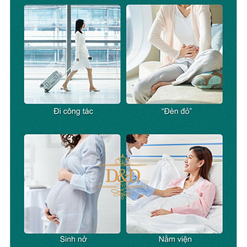 Quần Lót Giấy Bầu Cotton nữ size 5XL | Giá 30.000 cho 5 quần | Đáy Quần 2 Lớp| Hạ My Việt