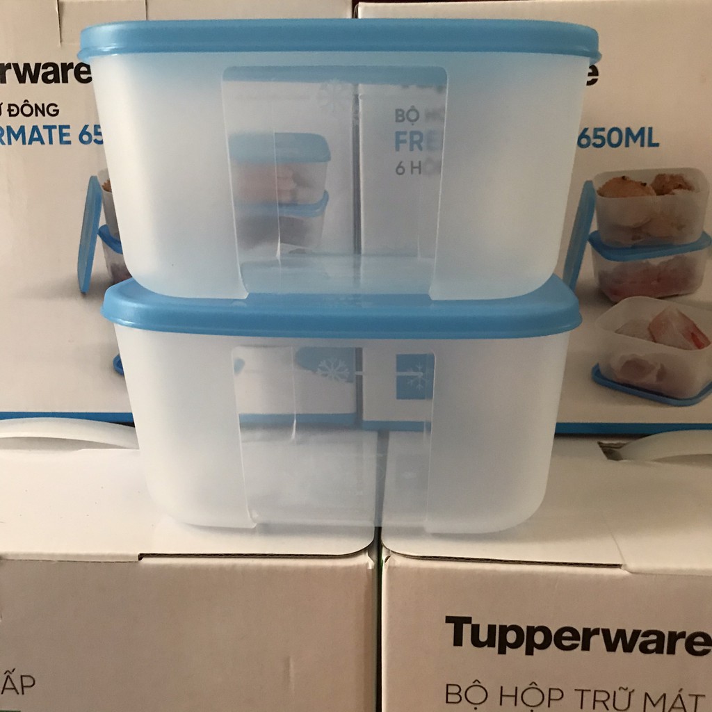 Tupperware &lt;3 Hộp Trữ Đông Freezermate 650ml (2 Hộp)